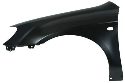 Voorspatbord Links 6504043278311P