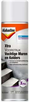 Voorstijk Vocht.Muren Spray 500Ml