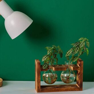 Voortplanting Station Glas Planter Vaas Terrarium Tafelblad Planten Desktop Sferische Vorm Glazen Vaas Houten 20cm