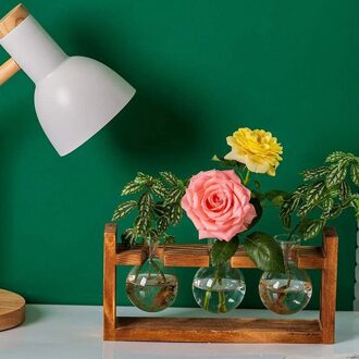 Voortplanting Station Glas Planter Vaas Terrarium Tafelblad Planten Desktop Sferische Vorm Glazen Vaas Houten 28cm