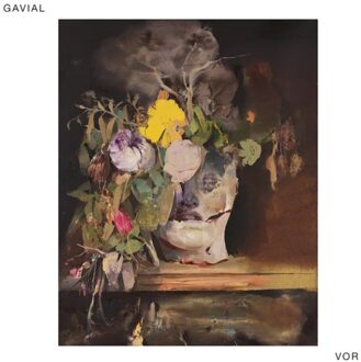 Vor - Gavial