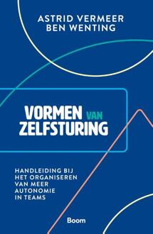 Vormen Van Zelfsturing - Astrid Vermeer