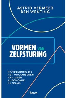 Vormen Van Zelfsturing - Astrid Vermeer