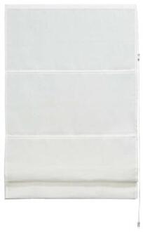 Vouwgordijn transparant - wit - 100x180 cm - Leen Bakker