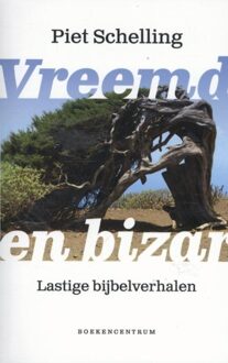 Vreemd en bizar - eBook Piet Schelling (9023979192)