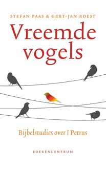 Vreemde vogels - eBook Stefan Paas (902395047X)