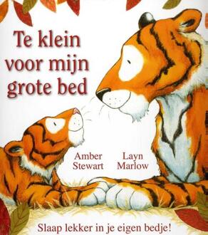 Vries-Brouwers, Uitgeverij C. De Te klein voor mijn grote bed - Boek Amber Stewart (9053418075)