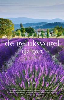Vrije Uitgevers, De De geluksvogel - Boek Ilja Gort (9082701545)
