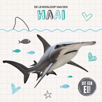 Vrije Uitgevers, De De Levensloop Van Een Haai - Holly Duhig