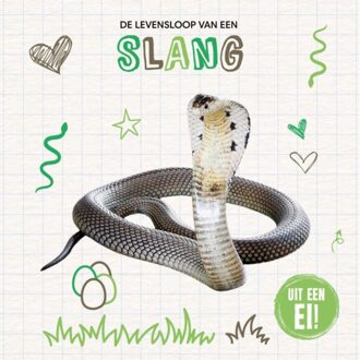 Vrije Uitgevers, De De Levensloop Van Een Slang - Uit Een Ei! - Holly Duhig