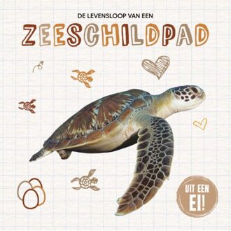 Vrije Uitgevers, De De Levensloop Van Een Zeeschildpad - Uit Een Ei! - Madeline Tyler