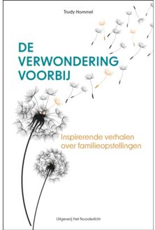 Vrije Uitgevers, De De Verwondering Voorbij - Trudy Hommel