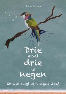 Vrije Uitgevers, De Drie Maal Drie Is Negen - (ISBN:9789492723970)