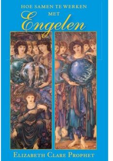 Vrije Uitgevers, De Hoe samen te werken met engelen - Boek Elizabeth Clare Prophet (9080532622)