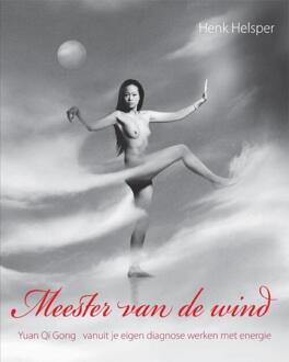 Vrije Uitgevers, De Meester van de wind - Boek Henk Helsper (949058004X)