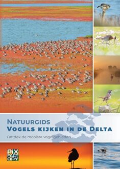 Vrije Uitgevers, De Natuurgids Vogels Kijken In De Delta - Natuurgidsen