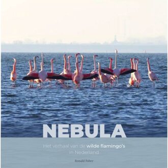 Vrije Uitgevers, De Nebula - Vogelfamilies - Ronald Faber
