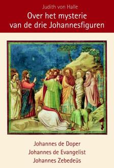 Vrije Uitgevers, De Over het mysterie van Lazarus en de drie Johannesfiguren - Boek Judith von Halle (9491748084)