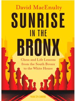 Vrije Uitgevers, De Sunrise In The Bronx - David MacEnulty