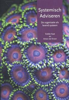 Vrije Uitgevers, De Systemisch adviseren - Boek Siebke Kaat (9077290222)