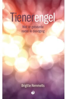 Vrije Uitgevers, De Tienerengel - Brigitte Remmelts