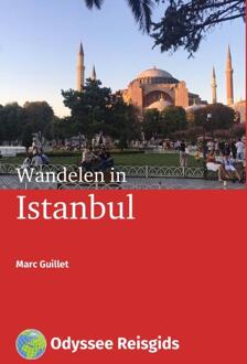 Vrije Uitgevers, De Wandelen In Istanbul - Odyssee Reisgidsen - (ISBN:9789461230744)