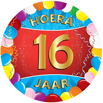 Vrolijk gekleurde viltjes 16 jaar - Bierfiltjes Multikleur