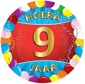 Vrolijk gekleurde viltjes 9 jaar - Bierfiltjes Multikleur