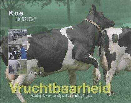 Vruchtbaarheid - Boek Jan Hulsen (908740011X)
