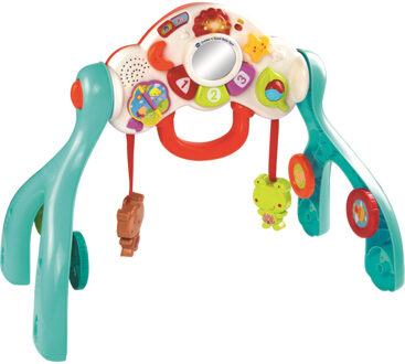 VTech Baby Ontdek & Speel Baby Gym - Activity-center
