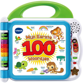 VTech kinderboek Mijn Eerste 100 Woordjes blauw Multikleur