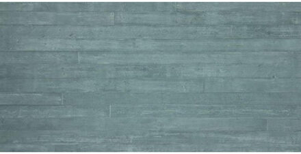 vtwonen Raw Decortegel 60x120cm 9.5mm Verdigris 1770699 Verdigris mat (Groen)