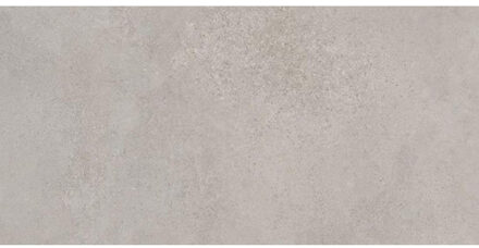 vtwonen Raw Vloer- en wandtegel 30x60cm 9.5mm R10 porcellanato Grey 1755432 Grijs mat