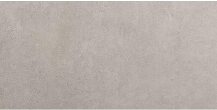 vtwonen Raw Vloer- en wandtegel 60x120cm 9.5mm R10 porcellanato Grey 1755413 Grijs mat