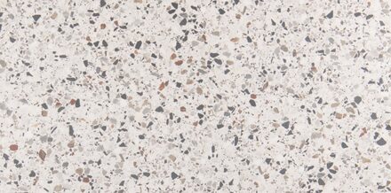 vtwonen Tegels Terrazzo vloertegel 60x120cm wit gerectificeerd