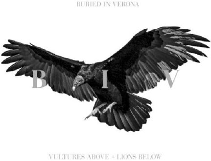 Vultures Above, Lions Below