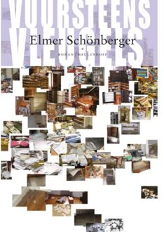 Vuursteens vleugels - Boek Elmer Schonberger (9029085401)