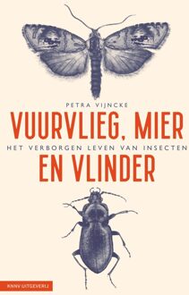 Vuurvlieg, mier en vlinder - Petra Vijncke - ebook