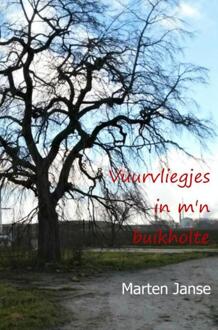 Vuurvliegjes in m'n buikholte - Boek Marten Janse (9463429220)