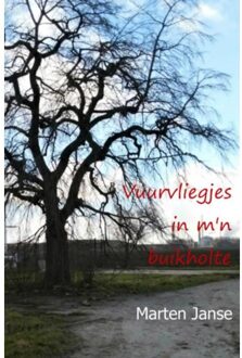 Vuurvliegjes in m'n buikholte - Boek Marten Janse (9463429220)