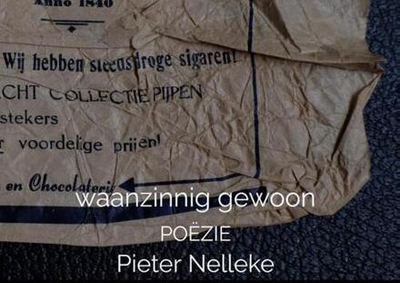 Waanzinnig Gewoon -  Pieter Nelleke (ISBN: 9789403789156)