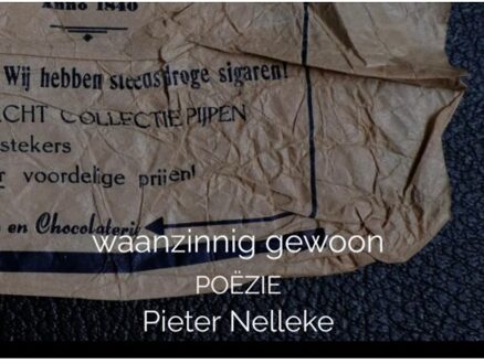 Waanzinnig Gewoon - Pieter Nelleke