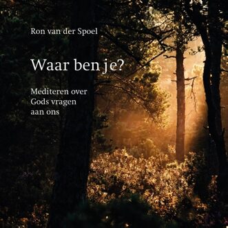 Waar ben je? - Ron van der Spoel - ebook