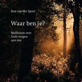 Waar ben je? - Ron van der Spoel - ebook