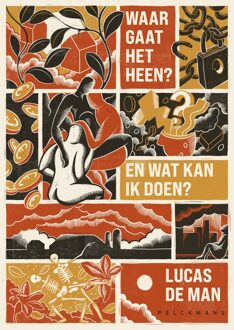 Waar gaat het heen? En wat kan ik doen? - Lucas de Man - ebook