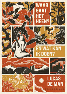 Waar gaat het heen? En wat kan ik doen? -  Lucas de Man (ISBN: 9789463839198)