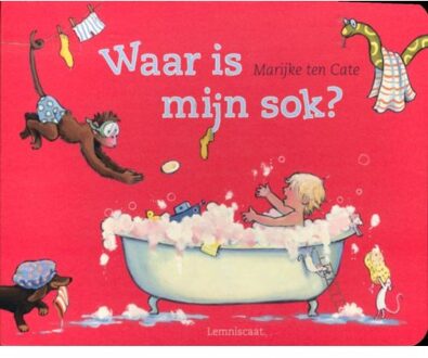 Waar is mijn sok - Boek Marijke ten Cate (9047703804)