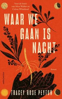 Waar We Gaan Is Nacht - Tracey Rose Peyton