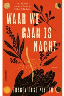Waar We Gaan Is Nacht - Tracey Rose Peyton