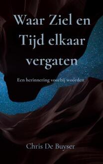 Waar Ziel en Tijd elkaar vergaten -  Chris de Buyser (ISBN: 9789465207308)